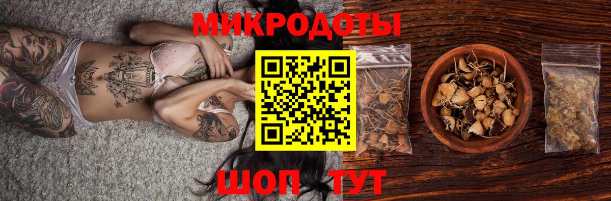 Псилоцибиновые грибы прущие грибы  где купить наркоту  Шали  Вход с VPN 